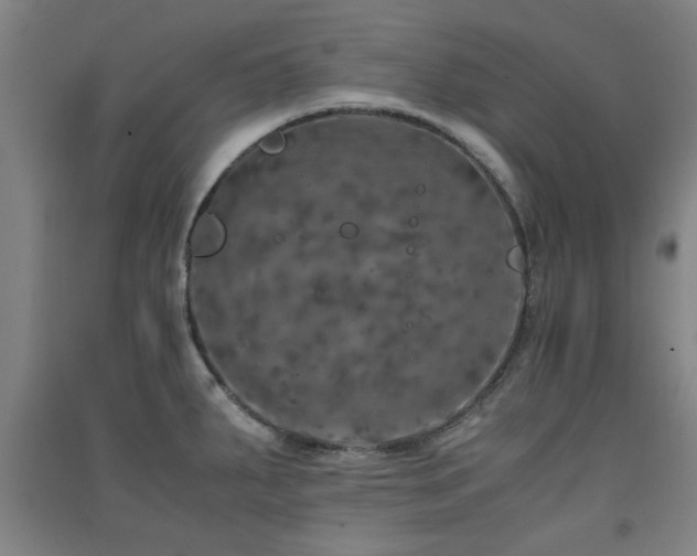 X0000091551287200708171258
