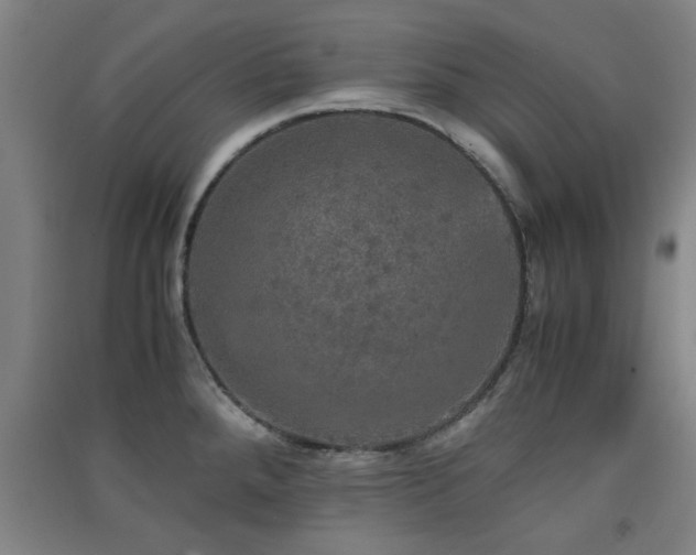 X0000091551288200708171258
