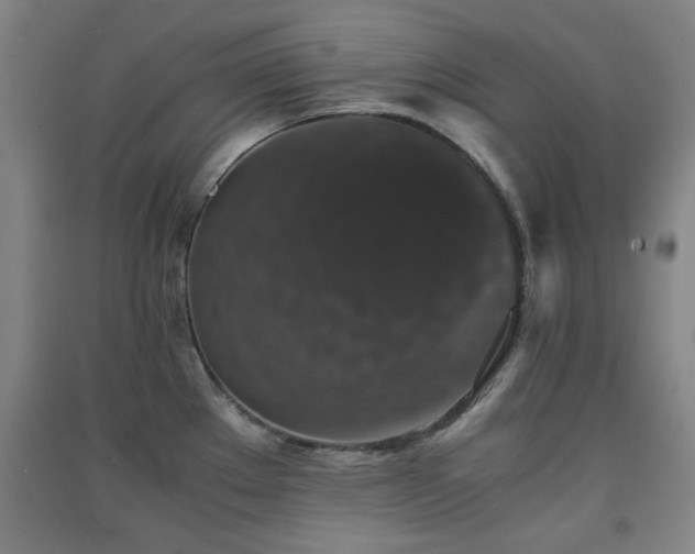 X0000091551289200708171258