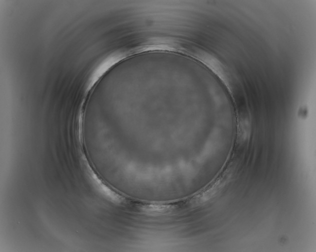 X0000091551290200708171258