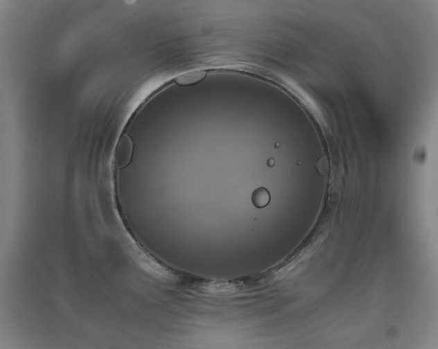 X0000091551291200708171258