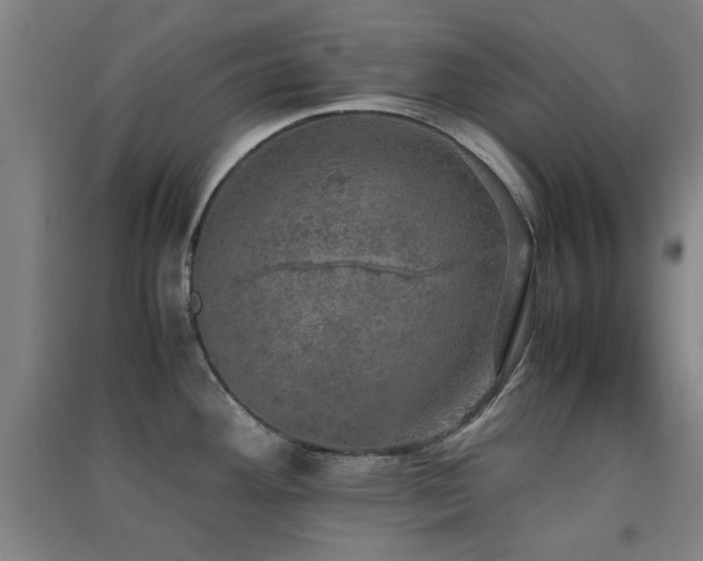 X0000091551292200708171258