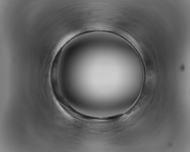 X0000091551293200708171258