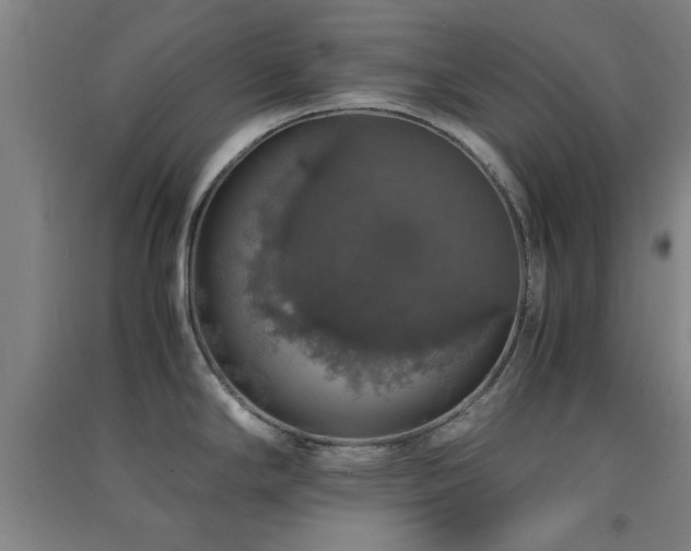 X0000091551294200708171258