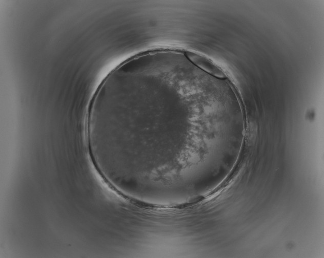 X0000091551295200708171258