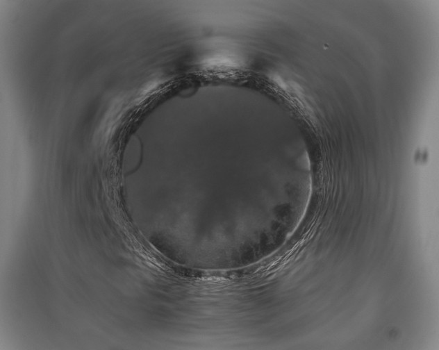 X0000091551297200708171257