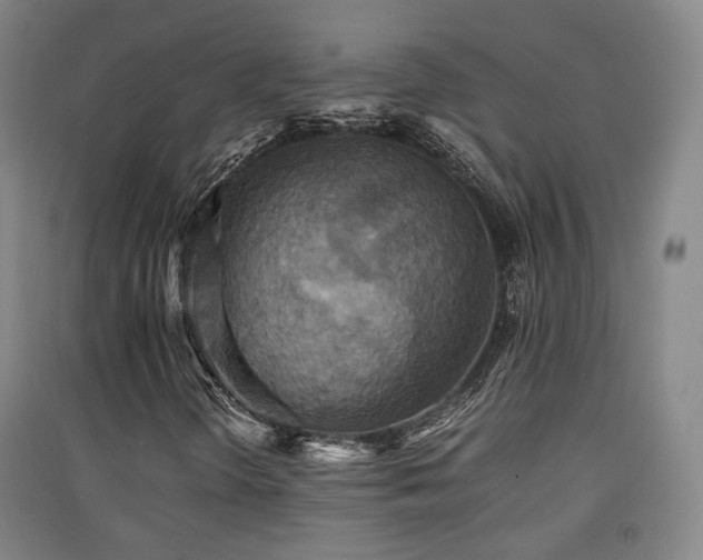 X0000091551298200708171257