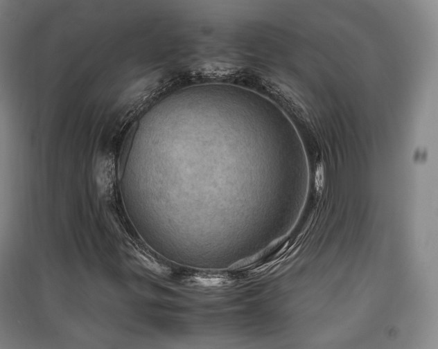 X0000091551299200708171257