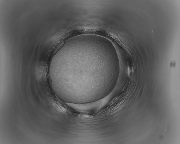 X0000091551300200708171257