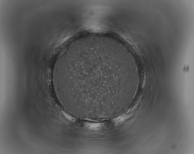 X0000091551301200708171257