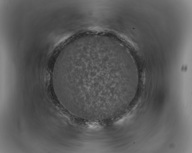 X0000091551302200708171258