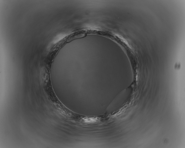 X0000091551303200708171258