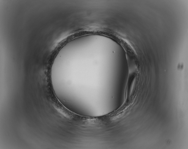 X0000091551304200708171258