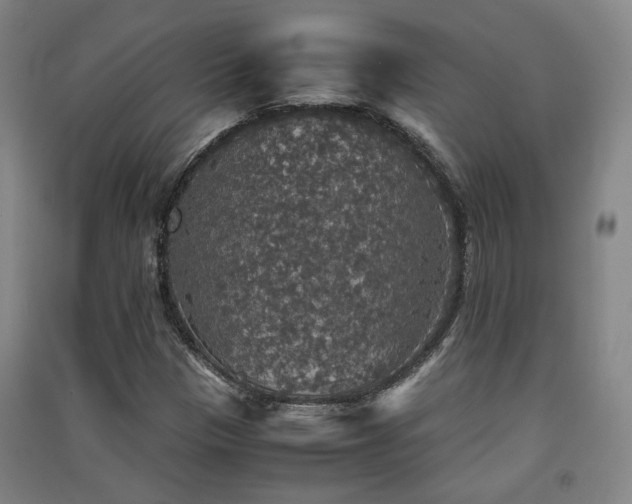 X0000091551305200708171258