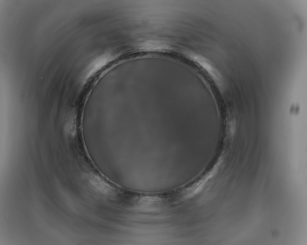 X0000091551306200708171258