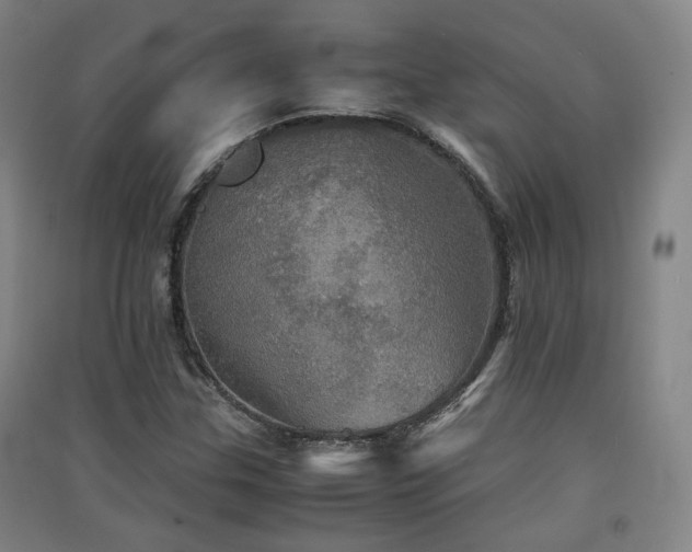 X0000091551307200708171258