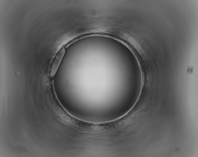X0000091551308200708171258