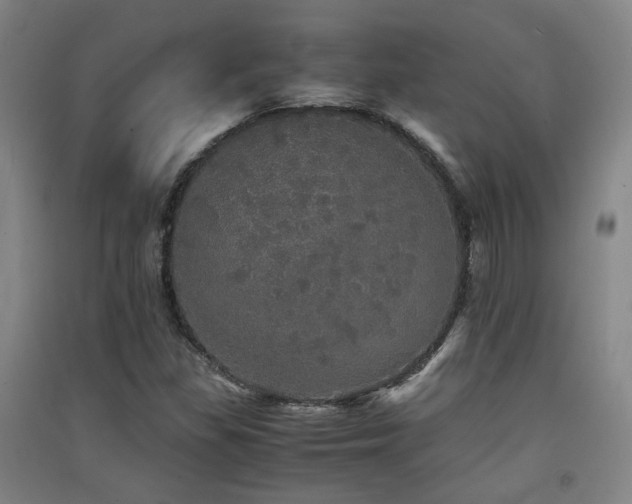 X0000091551309200708171258