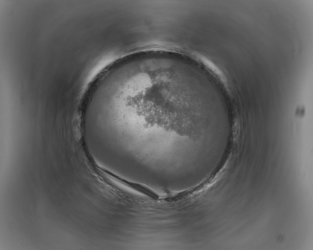 X0000091551310200708171258
