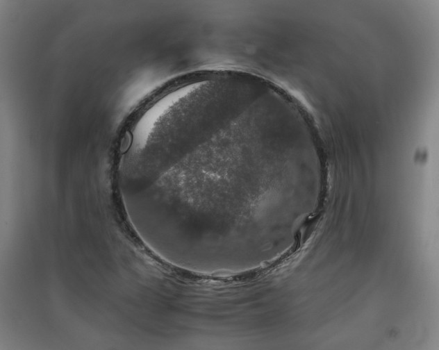 X0000091551311200708171258