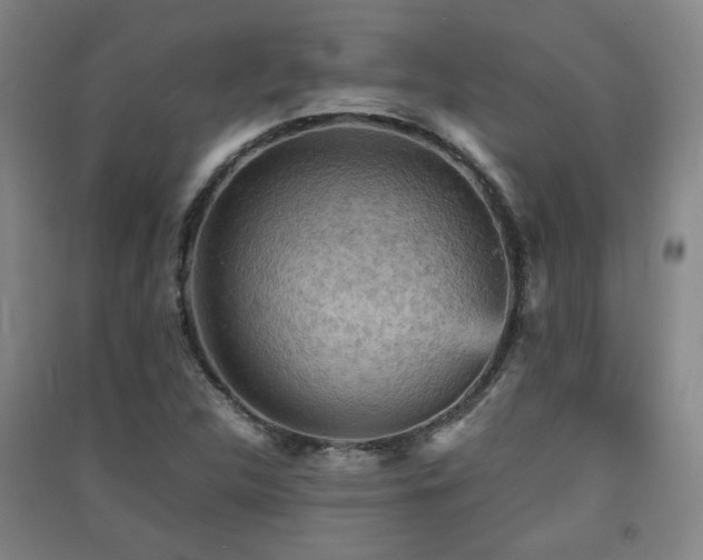 X0000091551312200708171258