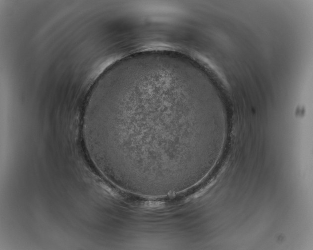 X0000091551313200708171258