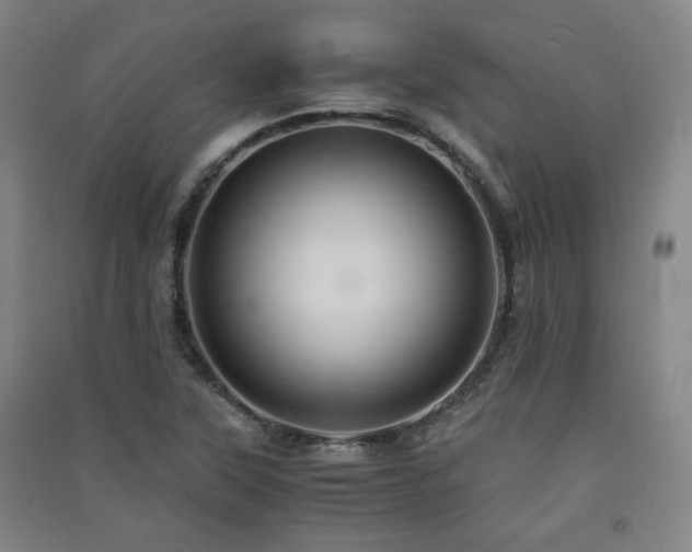 X0000091551315200708171258