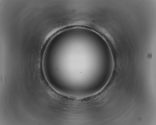X0000091551316200708171258