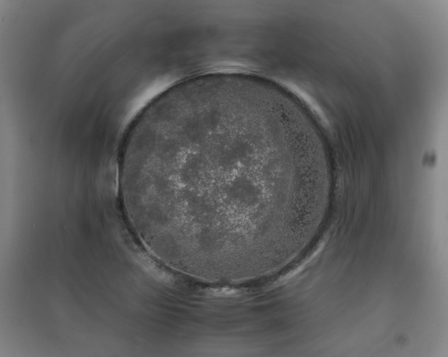 X0000091551317200708171258