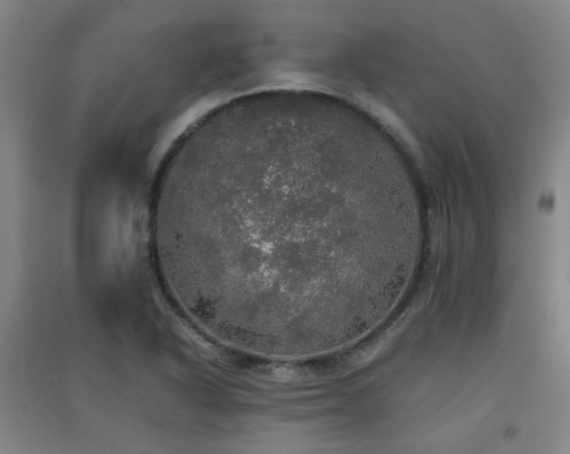 X0000091551318200708171258