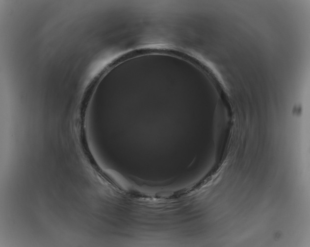 X0000091551319200708171258