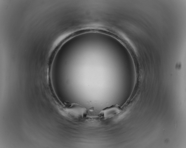 X0000091551320200708171258