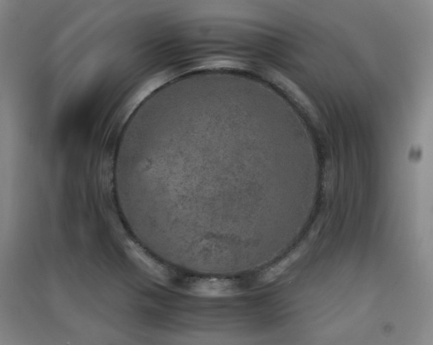 X0000091551321200708171258