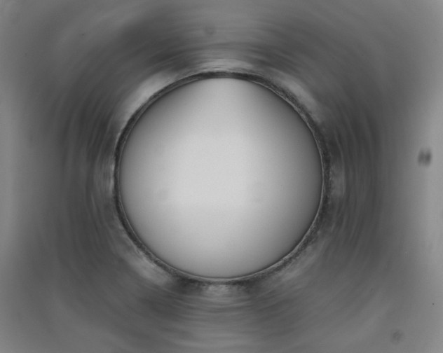 X0000091551322200708171258