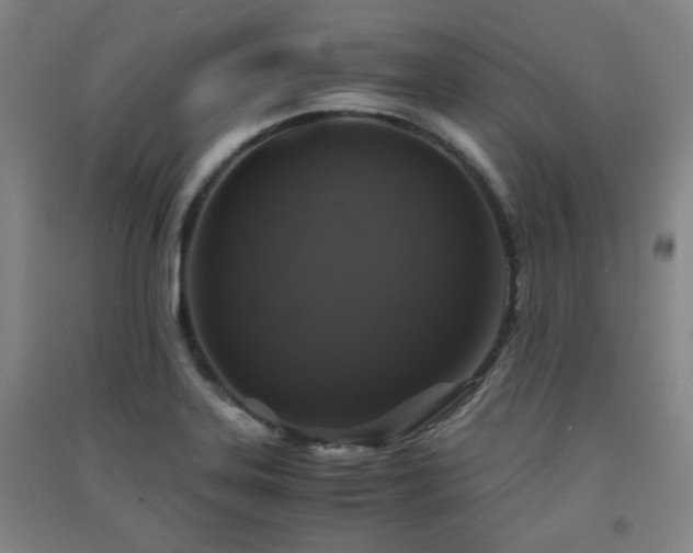 X0000091551323200708171258