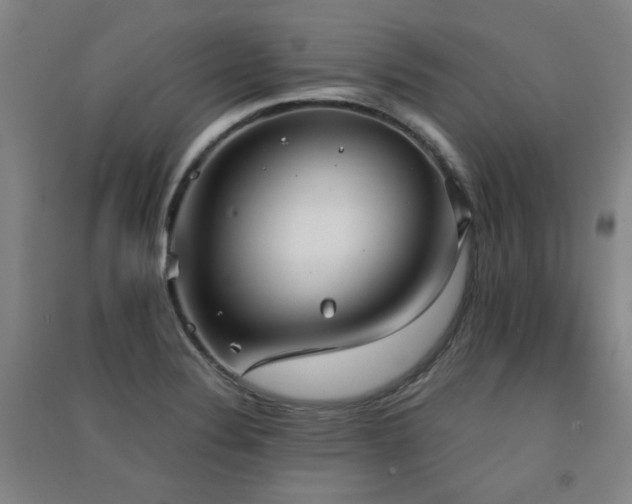 X0000091551324200708171258