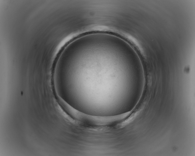 X0000091551326200708171258