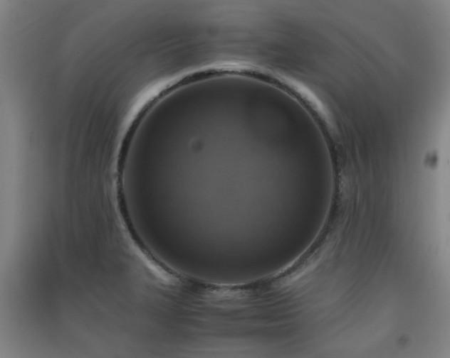 X0000091551327200708171258