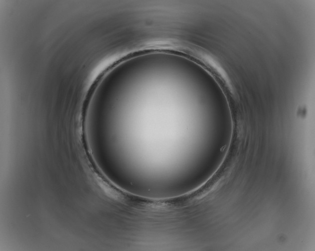 X0000091551328200708171258