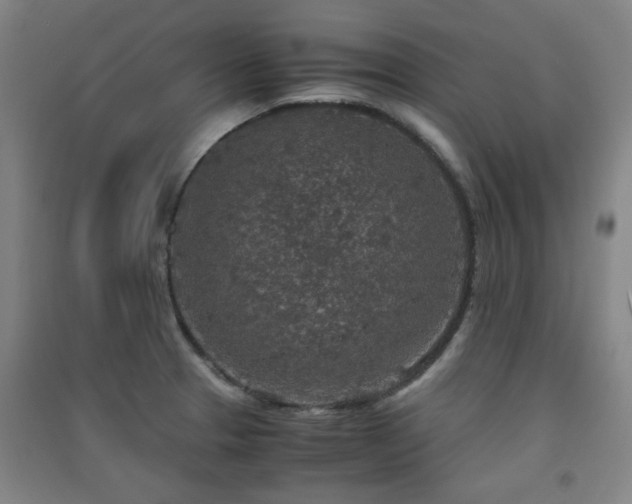 X0000091551329200708171258