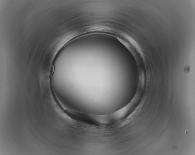 X0000091551330200708171258