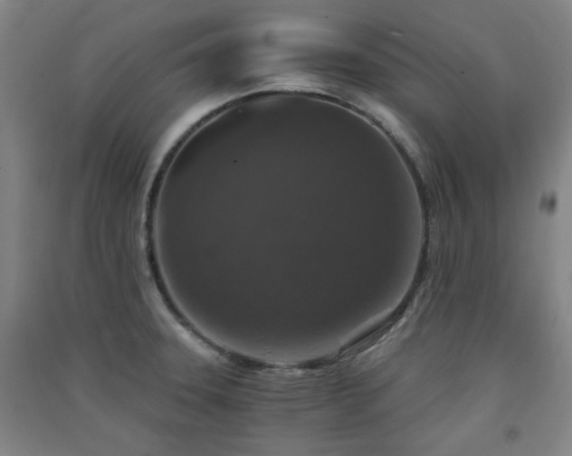 X0000091551331200708171258