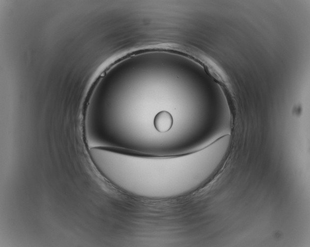 X0000091551332200708171258