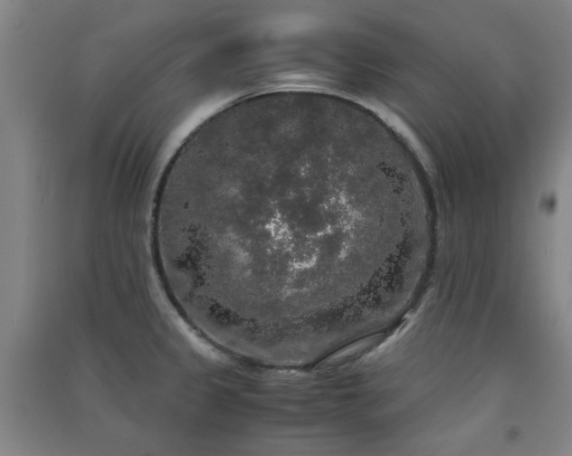 X0000091551333200708171258