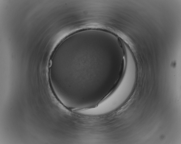 X0000091551334200708171258