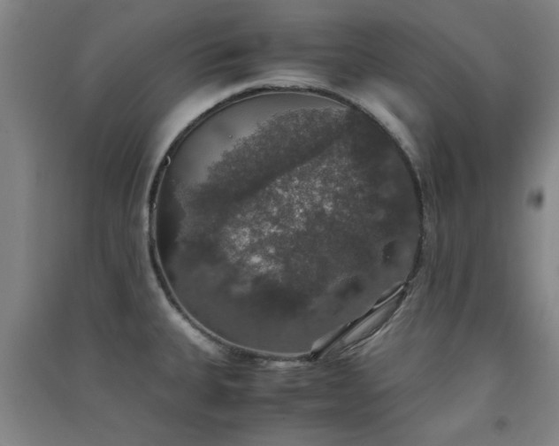 X0000091551335200708171258
