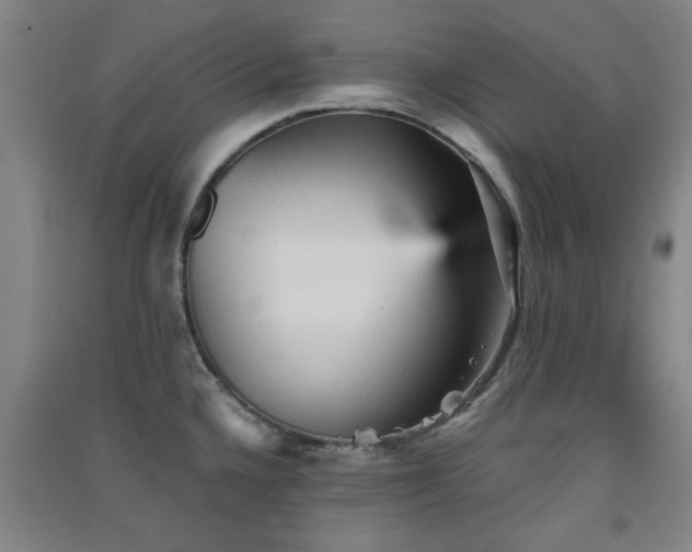 X0000091551336200708171258