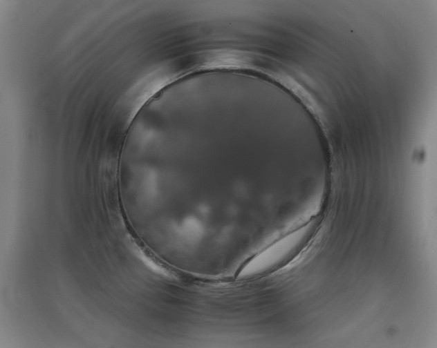 X0000091551337200708171258