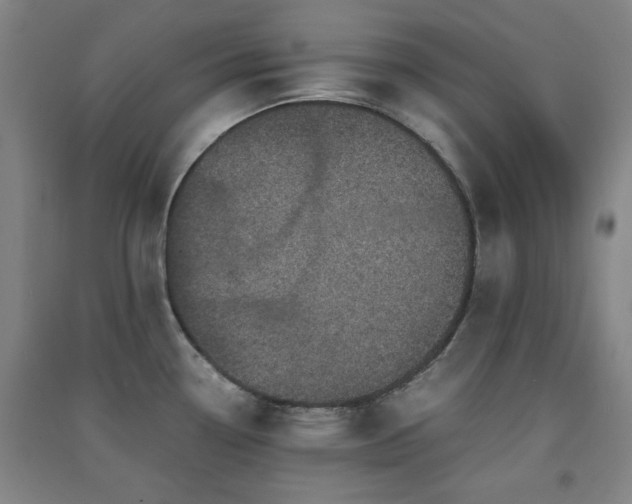 X0000091551338200708171258