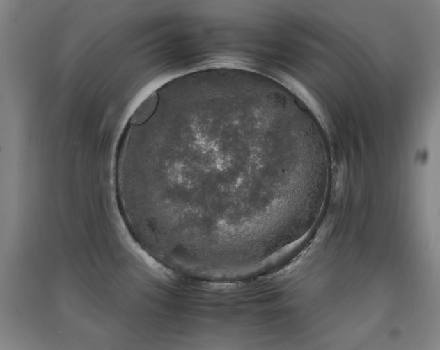 X0000091551339200708171258